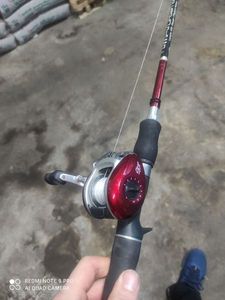 Reels null Stinger