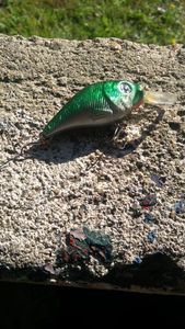 Lures Caperlan krank vert caperlan