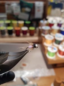 Flies null nymphe 