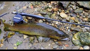 null null River Gem 10'#3/4 Fishbone Custom Rod 