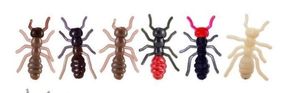 Lures Le Gobeleur Imitation de fourmis