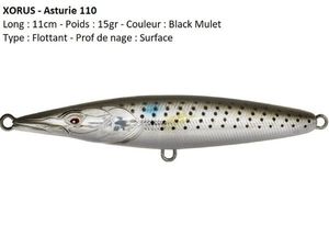 Lures Xorus ASTURIE 110 (Black Mulet)