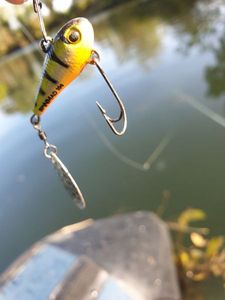 Lures null Spinmad 10