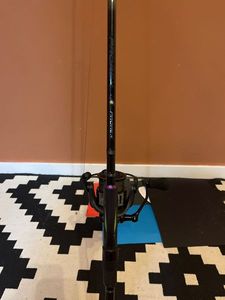 Rods Daiwa Prorex