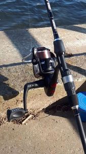 Reels Mitchell mitchell 2000 rz avocet