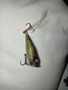 Lures River2Sea Popper 