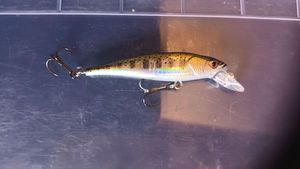 Lures Caperlan MNW 50 SP