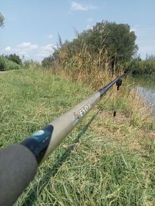 Rods geologic canne a peche