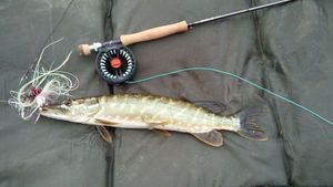 Rods null guideline epik #9 9' fly rod