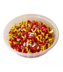 Baits & Additives null Asticots 