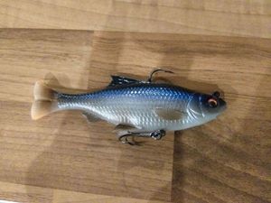 Lures Savage Gear 3D Pulse Tail Roach 