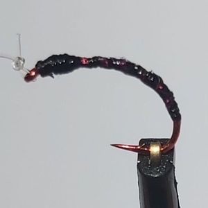 Tying DF 77 - 9H14 noir tinsel rouge foncé vernis UV