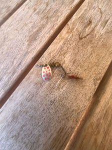 Lures Caperlan Cuillere 