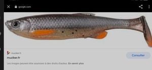 Lures Savage Gear 3d fat minnow