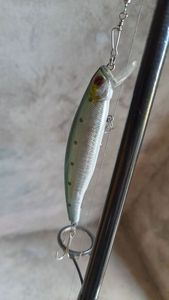 Lures null Jerkbait 