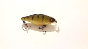 Lures Illex RS 100 Perch