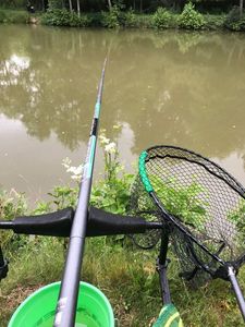 Rods Maver Maver invincible