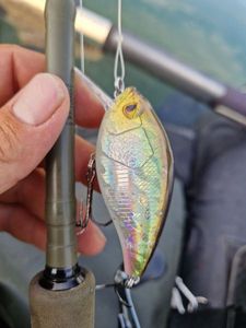 Lures Caperlan Cranckbait caperlan 10gr dorée