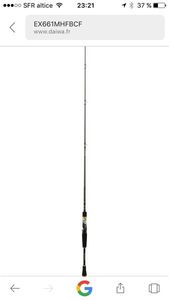 Cannes Daiwa Excelcer 731HFB