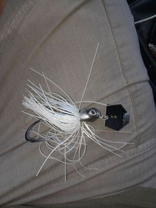 Lures Caperlan Chatterbait bealey 