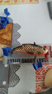 Lures Zip Baits Calibra