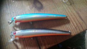 Lures Excalibur Ghost minnow