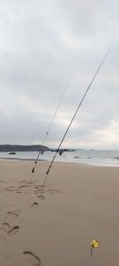Rods Sunset mytica power 4.50