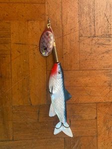 Lures Caperlan Poisson
