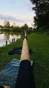 Rods Browning Feeder browning