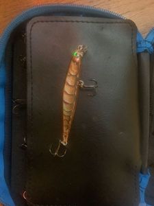 Lures Rapala Shadow rap 07 