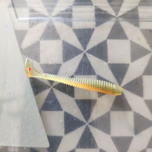 null null Shad mini