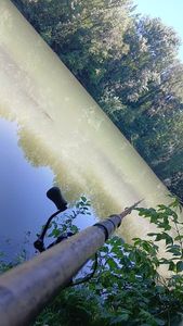 Rods Shimano Shimano catana 
