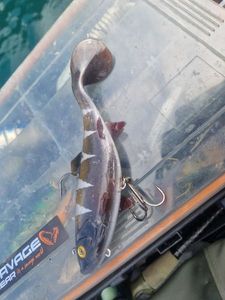 Lures Fox Rage Replicant wooble 18cm motoroil pike