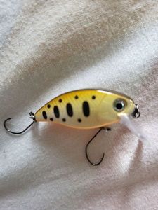 Lures SuXXes Crankbait Perch Lures SuXXes Crankbait Perch