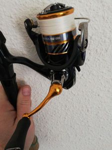 Reels Daiwa Revros LT 1000 