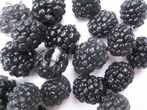 Baits & Additives bricoleurre  bricomûre 