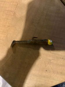Lures Reins Rocvibe
