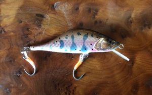 Lures Md Custom WINDY 50 RAINBOW TROUT