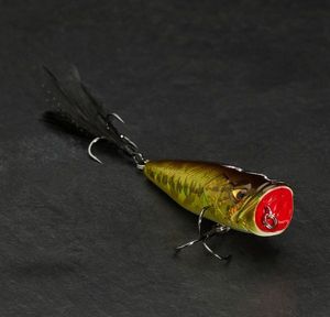Lures Caperlan POISSON NAGEUR POPPER WXM PPR 65 F