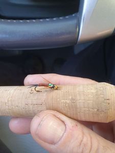 Flies null Nymphe verte