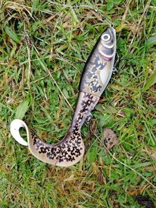 Lures Rapala otus