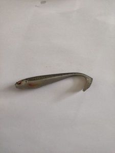 Lures Prorex Leurre prorex