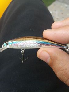 Lures Duo spearhead ryuki 70s