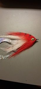 Flies JMC Fly004
