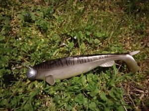 Lures Hart absolute soft shad 15cm