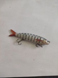 Lures Amazon Segments lipes