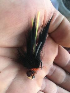 Mouches Love fishing Craw fly version jc