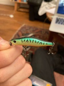 Lures Tiemco Sumari 48S