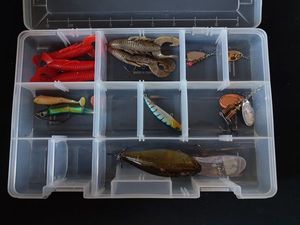 Lures null Esche varie 