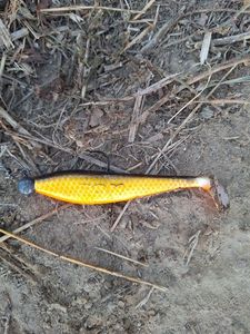 Lures Fox Rage Zander golden shiner